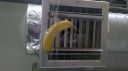 Refrigerando_banano.jpg