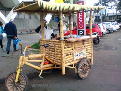 bici ecologica
