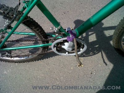 Nuevo pedal
