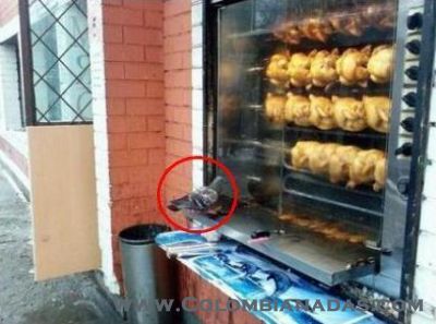 Paloma en Striptease
