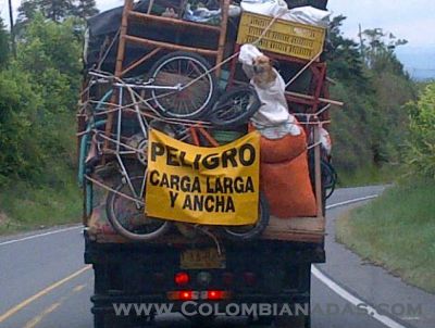 Pobre perro en trasteo
