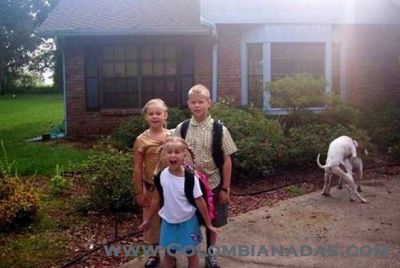 Los perros de la familia
