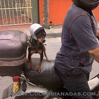 Mejor seguridad vial
