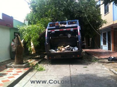colombianadas
podadoras
Keywords: camion, basura, carro, arbol