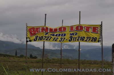 aquí la ortografía no vale
