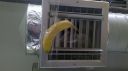 Refrigerando_banano.jpg