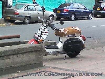 cojineria en cuero
moto domicilios
Keywords: moto