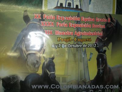 numero romano
El que lo hizo, el que lo edito, y el que  lo recibio, ni idea de estos numeros 
Keywords: romano