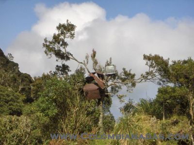 tv arbol
tv en arbol en una finca.
Keywords: tv,arbol.