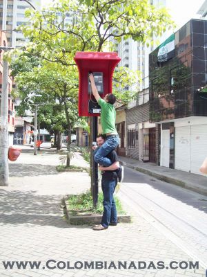 Quien quiere llamar
Telefono publico de une en medellin, ubicado cerca a bellas artes de ayacucho, MUY ALTO.
