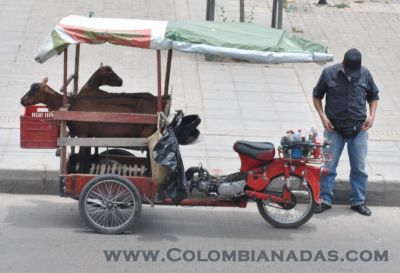 moto corral triciclo 
llama la atención la creatividad colombiana con vehículos improvisados como este.
