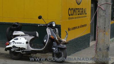 La Vacana
Motocicleta con cachos en San Jeronimo Antioquia
Keywords: Motocicleta;Moto;Vaca;Moto con cachos;Cachos