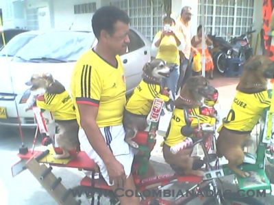 con sus mascotas
de paseo con sus fieles  amigos
