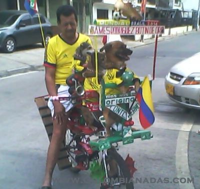 con sus mascotas 2
este sr si anda con sus verdaderos y fieles amigos

